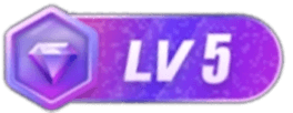 等级-LV5-雨叶虚拟资源网