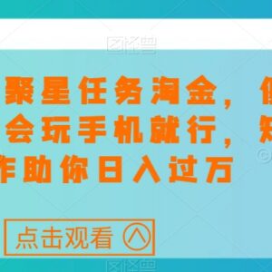 快手磁力聚星低门槛赚钱攻略 矩阵操作轻松提升副业收益-雨叶虚拟资源网