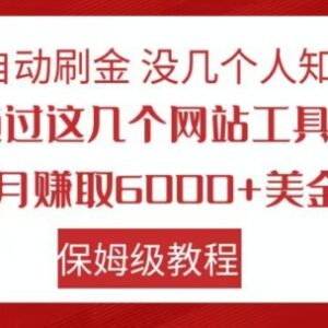 少有人知的全自动刷金项目保姆级教程 附工具可月赚6000+美金-雨叶虚拟资源网