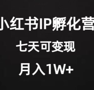 小红书IP孵化营项目实操拆解 新手低门槛起号变现全教程-雨叶虚拟资源网