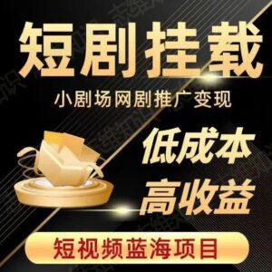 2023抖音快手短剧推广变现教程 低成本短视频蓝海项目实操课-雨叶虚拟资源网