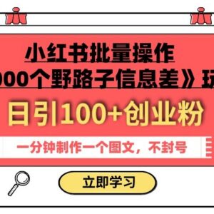 小红书野路子信息差批量玩法 一分钟做图文引流创业粉实操教程-雨叶虚拟资源网