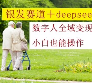 银发赛道搭配DeepSeek数字人全域变现教程 小白也可轻松操作-雨叶虚拟资源网