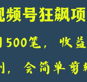 视频号狂飙语录表情包变现项目实操 会简单剪辑就能日入3000+-雨叶虚拟资源网
