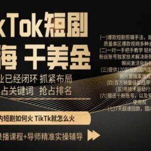 TikTok短剧出海全流程实操教程 剪辑涨粉回款附配套资源-雨叶虚拟资源网