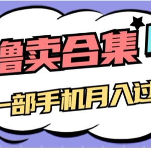 AI工具合集售卖副业项目解析 一单29.9元手机可操作月入过万-雨叶虚拟资源网