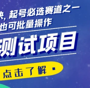 心理测试项目玩法拆解 新手可批量操作的高变现涨粉赛道-雨叶虚拟资源网