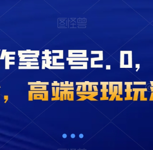 抖音工作室2.0起号玩法 千粉账号交易变现操作方法揭秘-雨叶虚拟资源网
