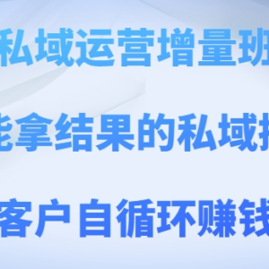私域运营增量班课程 培养实战操盘手打造客户自循环运营系统-雨叶虚拟资源网