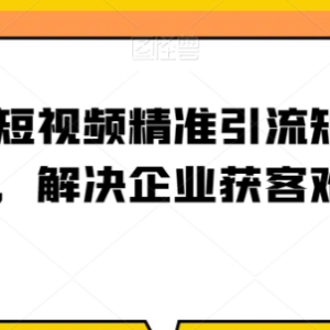 企业短视频精准引流矩阵搭建教程 助力解决企业获客难题-雨叶虚拟资源网
