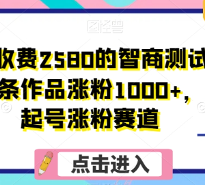 收费2580的智商测试涨粉项目揭秘 单条作品涨粉千余起号逻辑-雨叶虚拟资源网