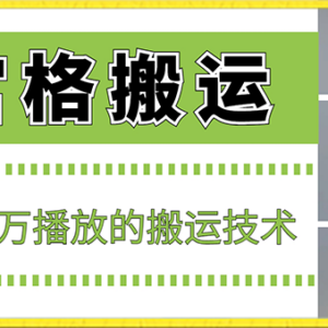 九宫格短视频搬运技术详解 10秒出作品可斩获数十万播放量-雨叶虚拟资源网