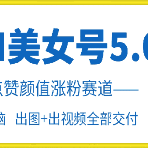 云天AI美女号5.0实操教程 高赞颜值赛道快速涨粉玩法-雨叶虚拟资源网