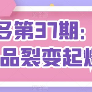 拼多多单品裂变起爆2.0教程 标品非标品起店全流程讲解-雨叶虚拟资源网