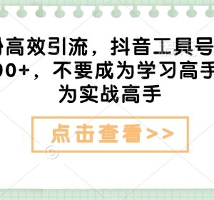 抖音虚拟工具号创业粉高效引流玩法 日引300+实操全攻略-雨叶虚拟资源网
