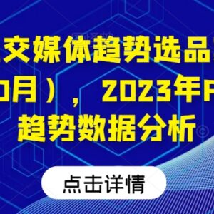 2023年10月Pinterest趋势数据分析 社交媒体趋势选品案例汇总-雨叶虚拟资源网