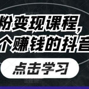 抖音涨粉变现全流程课程 手把手教你打造高收益抖音账号-雨叶虚拟资源网