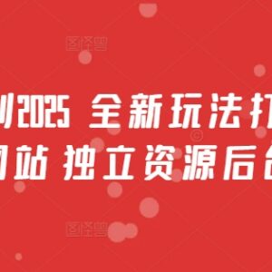 2025男粉计划全新玩法拆解 AI美女引流及后台扶持项目详解-雨叶虚拟资源网