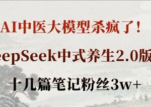用DeepSeek中医大模型做中式养生内容 十几篇笔记涨粉3万+-雨叶虚拟资源网