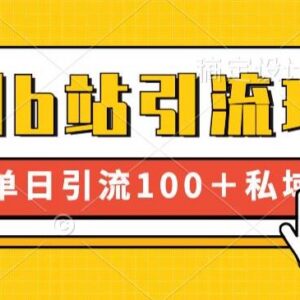 亲测有效B站引流玩法 新手小白可操作单日引流100+到私域-雨叶虚拟资源网