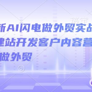 2025最新AI外贸实战课 零基础学建站获客内容营销全流程-雨叶虚拟资源网