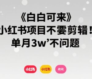 适合小白操作的无剪辑小红书树洞项目 单月收益最高可达3万元-雨叶虚拟资源网