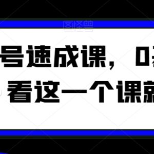 0基础视频号起号速成课 定位涨粉变现全流程实操教学-雨叶虚拟资源网