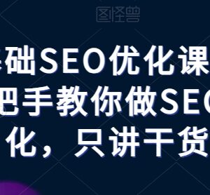 零基础SEO优化系统干货课程 新手入门全流程实操教学-雨叶虚拟资源网