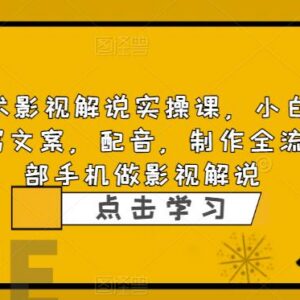 0基础可学影视解说实操课 单手机搞定文案配音制作全流程-雨叶虚拟资源网