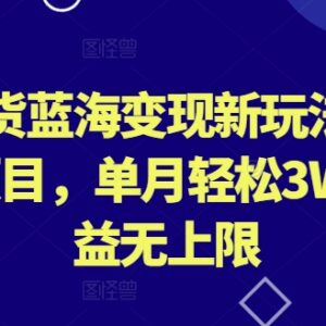 外贸尾货蓝海变现玩法拆解 冷门副业单月可实现收益3万+-雨叶虚拟资源网