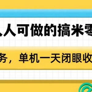 2025零门槛人人可做零撸副业教程 单机单日轻松赚50元以上-雨叶虚拟资源网