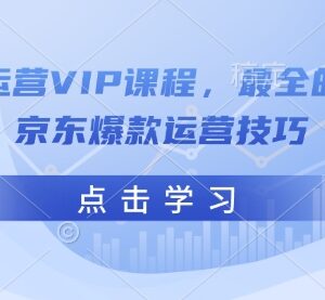 京东运营VIP全套系统课程 全链路爆款打造实操技巧合集-雨叶虚拟资源网