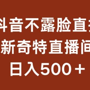 不露脸半无人挂机直播项目拆解 低门槛副业日入500实操教程-雨叶虚拟资源网
