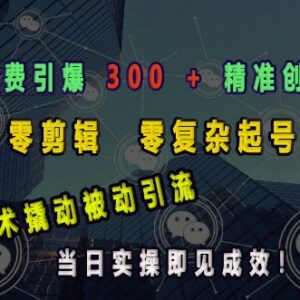 小额付费引流300+精准创业粉 零剪辑零复杂起号当日实操见效-雨叶虚拟资源网