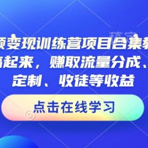 2025AI短视频变现训练营教程合集 多玩法赚流量广告收徒等收益-雨叶虚拟资源网