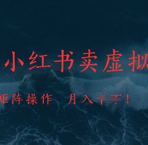 抖音小红书虚拟资料售卖项目解析 矩阵操作可实现稳定月入过万-雨叶虚拟资源网