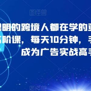 亚马逊广告高阶实战课 覆盖底层逻辑到进阶打法 每天10分钟学透-雨叶虚拟资源网