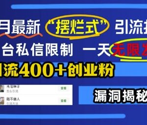 2024年12月最新小红书摆烂式引流法 突破私信限制引流创业粉-雨叶虚拟资源网