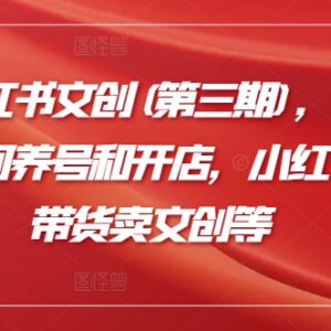2024第三期小红书文创运营教程 养号开店直播带货全流程教学-雨叶虚拟资源网