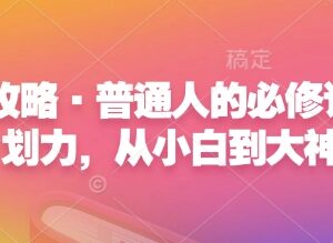 普通人心力提升必修攻略 计划力从小白到大神系统学习课程-雨叶虚拟资源网