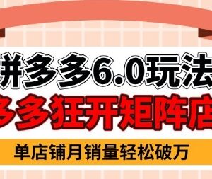 2025拼多多虚拟商品6.0玩法 零基础开店运营全流程实操教程-雨叶虚拟资源网