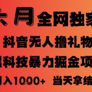 2025年6月抖音无人直播撸音浪玩法 小白可做可批量放大收益稳定-雨叶虚拟资源网