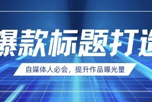AI时代自媒体运营实用技巧 教你用DeepSeek打造爆款内容标题-雨叶虚拟资源网