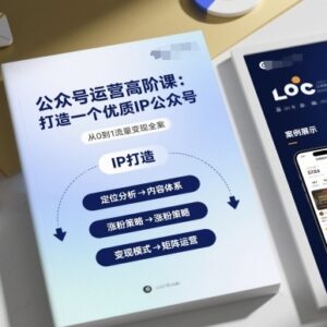 公众号运营高阶实操教程 手把手教你打造可变现优质IP公众号-雨叶虚拟资源网