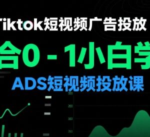 0-1小白入门TikTok ADS短视频投放课 适配美区东南亚市场-雨叶虚拟资源网