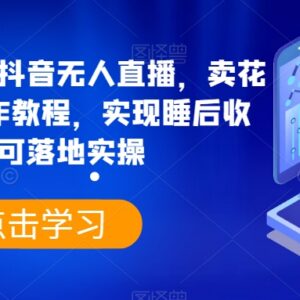 抖音无人直播卖花样早餐粥制作教程 可落地实操实现睡后收入-雨叶虚拟资源网