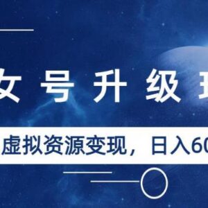 美女号升级虚拟资源变现玩法 低门槛实操教程附素材可日入数百-雨叶虚拟资源网