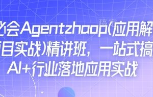 AI Agent精讲班：含应用解读与项目实战 搞定AI行业落地应用-雨叶虚拟资源网