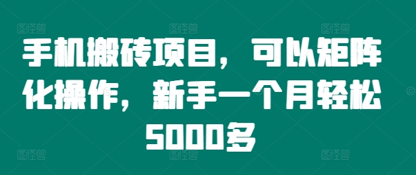 可矩阵操作的手机搬砖项目详解 新手入门每月可赚5000+