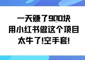 小红书蓝海小众实操项目分享 低门槛小白可做单日营收近千元-雨叶虚拟资源网
